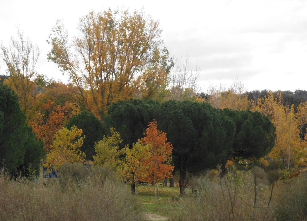 Apartamentos "Casa Rural De Aldea" Aldea del Fresno Esterno foto